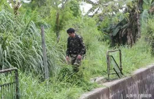 中国女移民遭遇杀害抛尸事件的深度探讨_全面解释落实