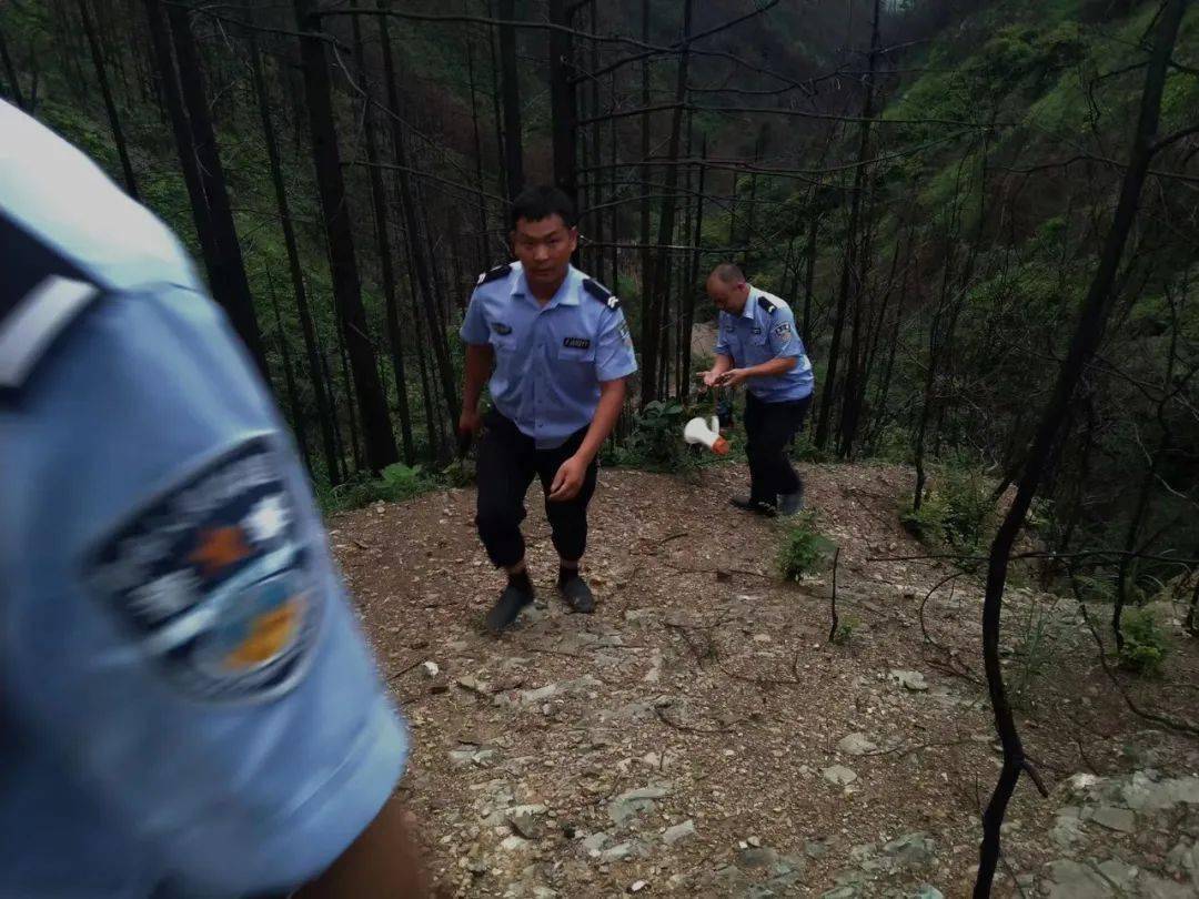 进山走失2天被找回的奇迹_反馈实施和执行力