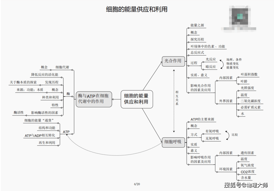 2024新澳三期必出生肖_S37.545