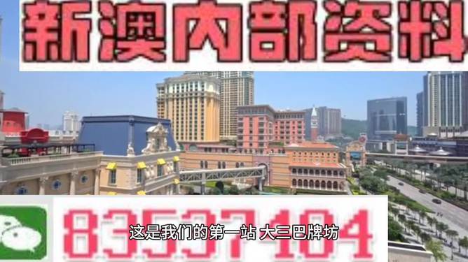 新澳门资料免费长期公开,2024——专业洞察与预测