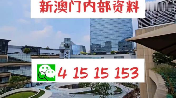 新澳门内部一码精准公开网站——助你制定策略决策