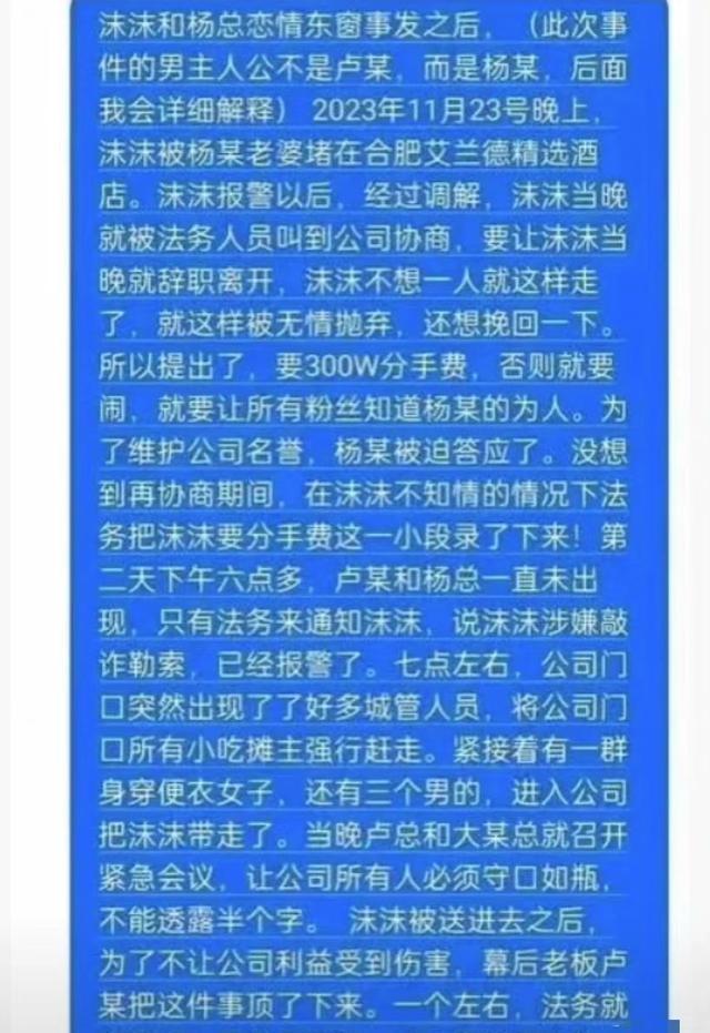 辛巴：不要为蹭流量搞垮国民企业