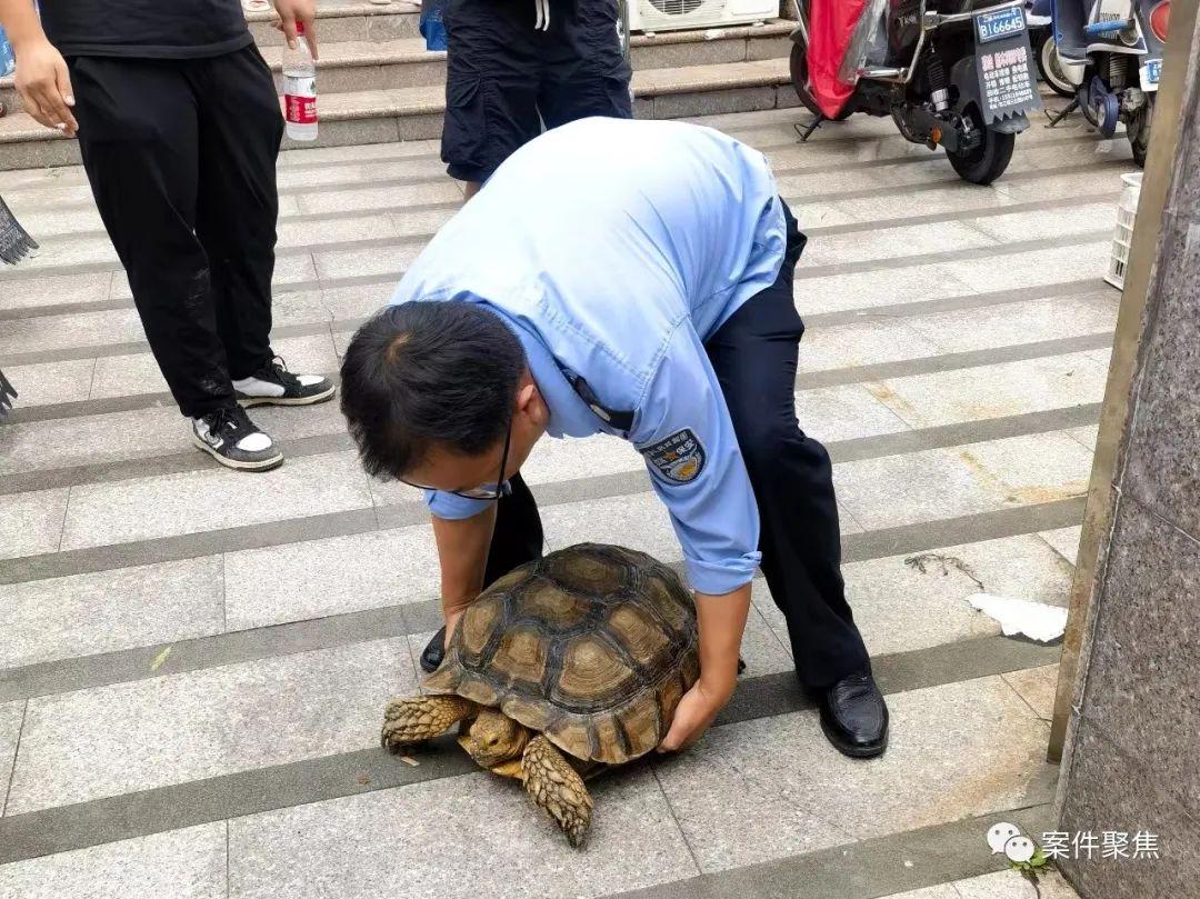 下水道捡到国家一级保护动物怎么处罚