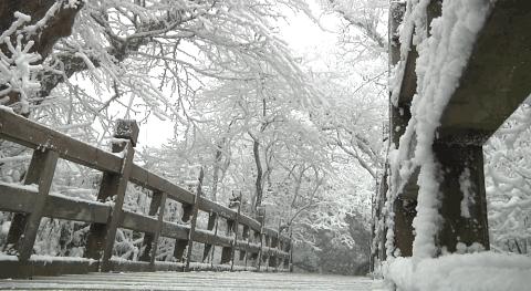 南方多地将迎来大范围降雪，应对雪灾的全方位准备与行动