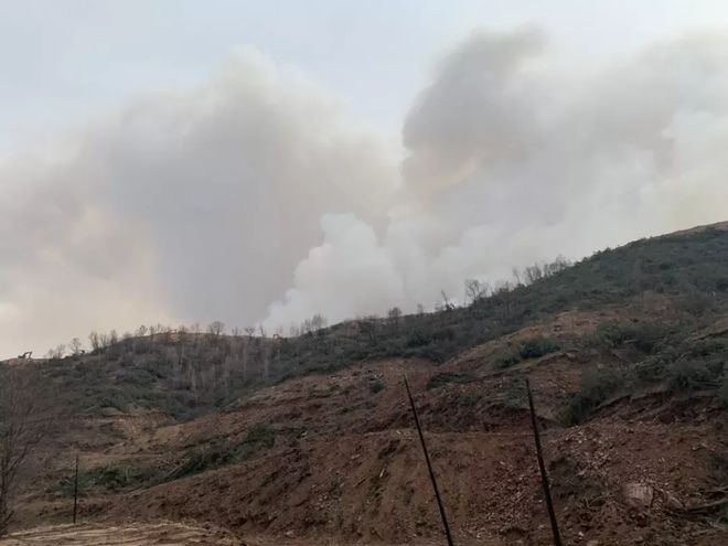 天水一地发生山火，灾难应对与生态保护的重要课题