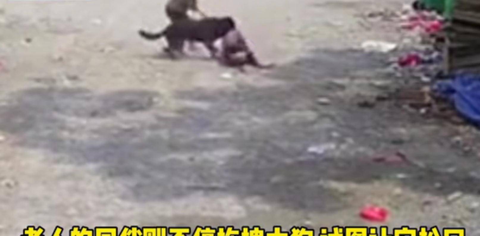 老人疑遭犬撕咬去世