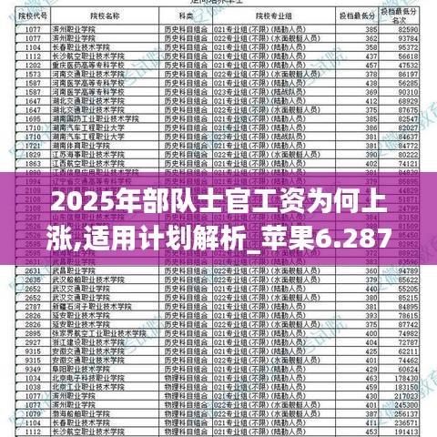 2025部队工资大幅上涨——助你轻松分析数据