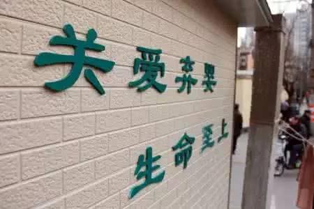 新奥门免费资料挂牌大全——揭示数字选择的心理学