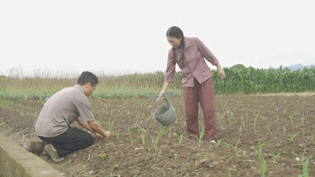 县委书记遥控家人藏匿赃款赃物，揭秘背后的腐败故事