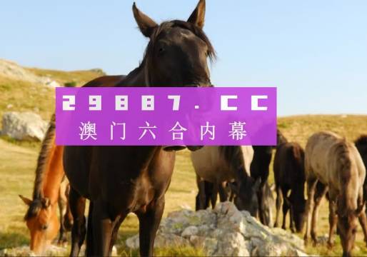 澳门管家婆一肖一码一中——助你实现知行合一