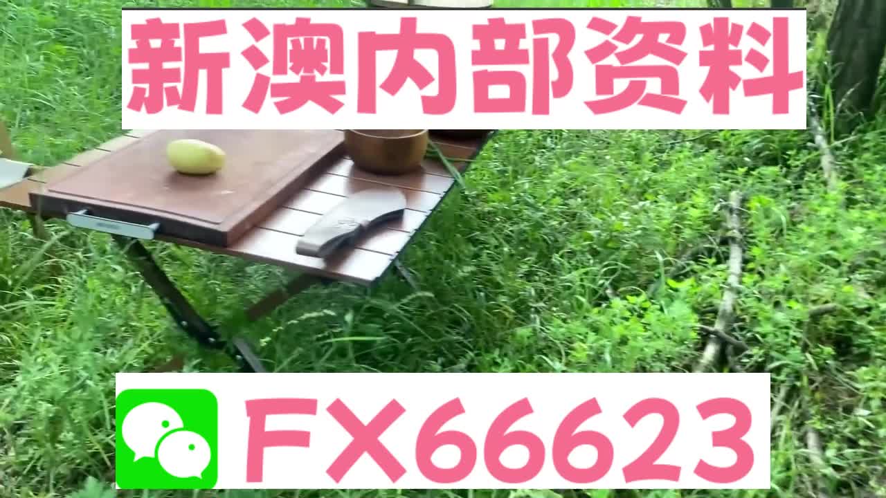 新澳六叔精准资料大全