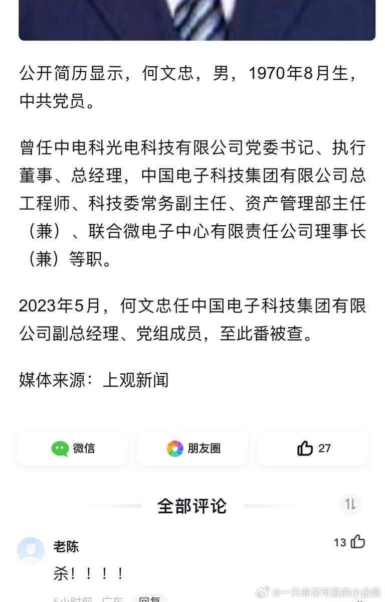 何文忠被公诉，背后的故事与深层思考