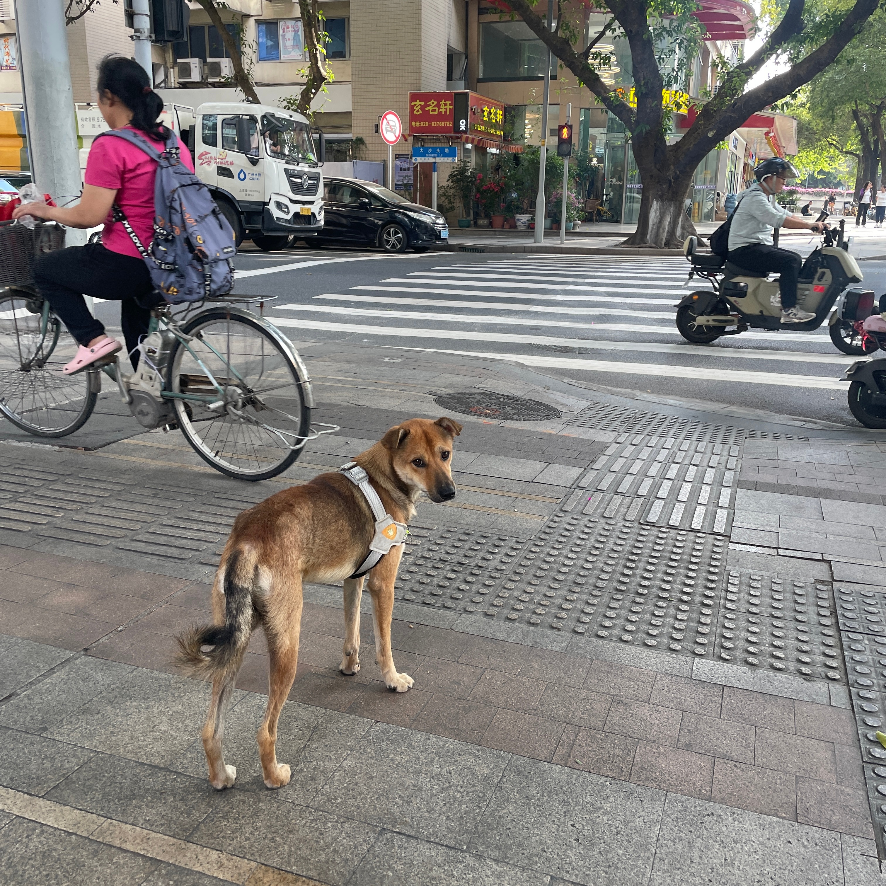 为寂寞，买单 第5页