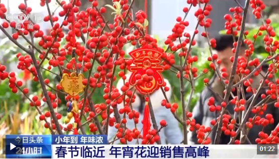 春节临近，年宵花热销的盛况