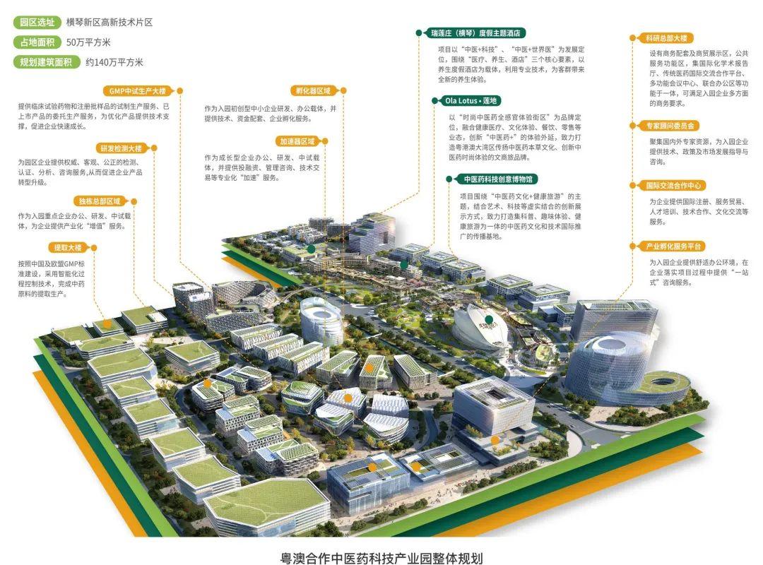 2025新澳门正版免费资本反馈落实,2025新澳门正版免费资本_X43.177