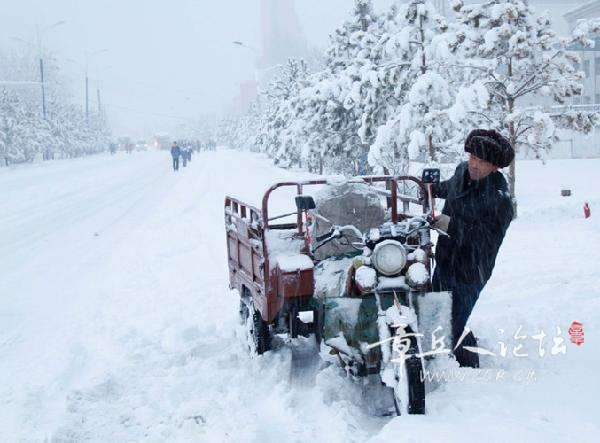 河南积雪深度超20cm，冬季奇观下的思考