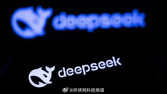 DeepSeek，探索人类最深层的疑问