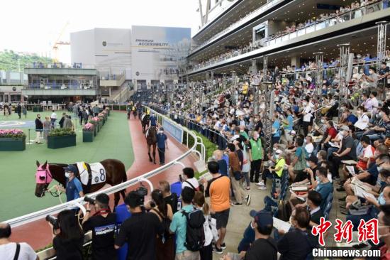 香港今晚开什么特马详细说明和解释,香港今晚开什么特马_铂金版53.786