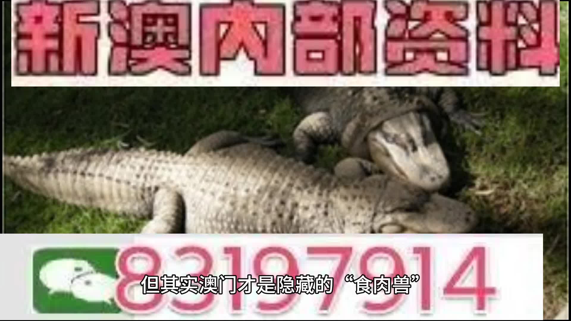 2025澳门特马今晚开什么码资料解释,2025澳门特马今晚开什么码_RX版73.481