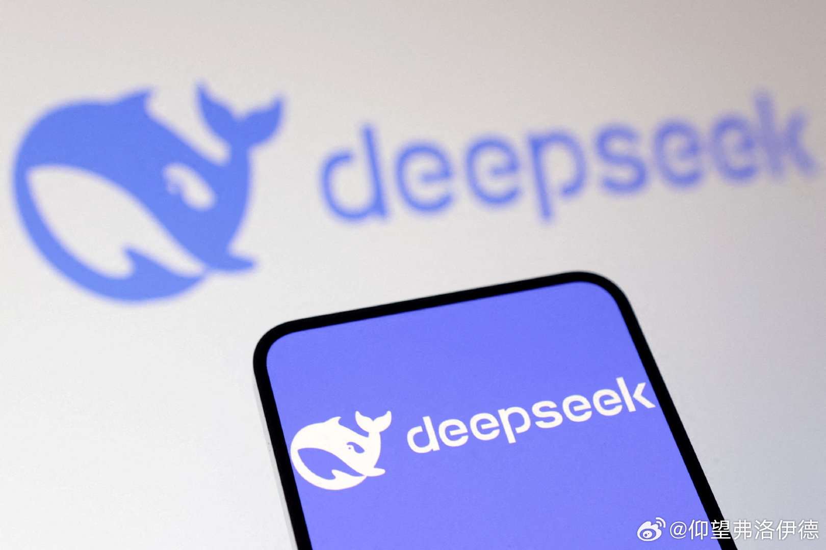 德媒：DeepSeek凸显美国科技制裁失败