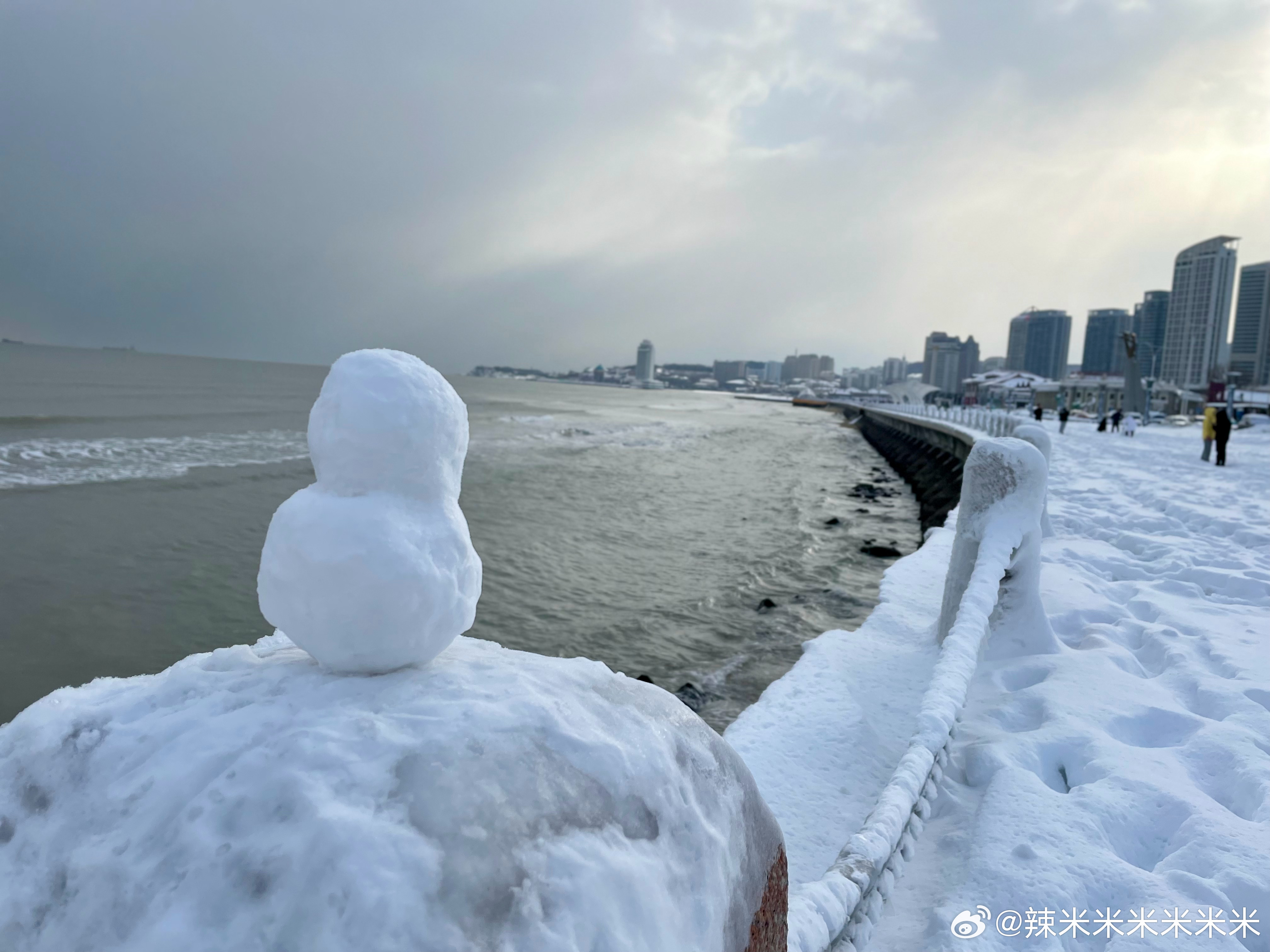 烟台海边石墩惊现雪鸭子大军！神秘现象背后的真相揭晓！