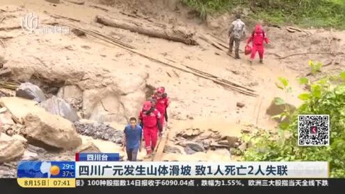 四川山体滑坡初查29人失联