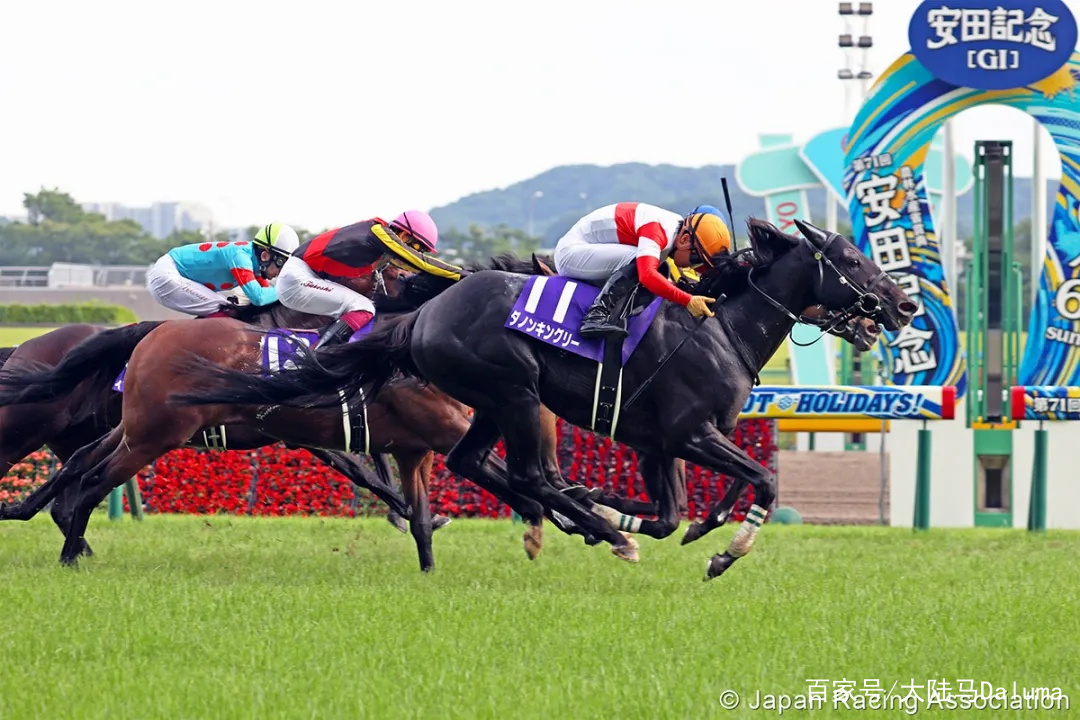 香港特马资料王中王反馈落实,香港特马资料王中王_动态版73.448