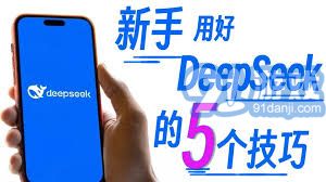 建议，揭秘DeepSeek，理想伴侣仅存的个位数？引人深思的探寻之旅