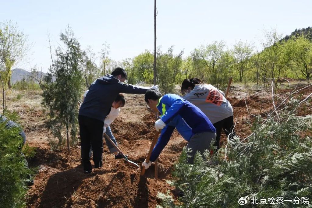 绿意浓情，共植未来优势——增绿就是增优势，植树就是植希望