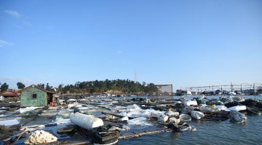 福建海岛惊现大量生活垃圾排海，官方紧急回应背后真相揭秘！